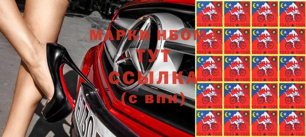 СК Медногорск