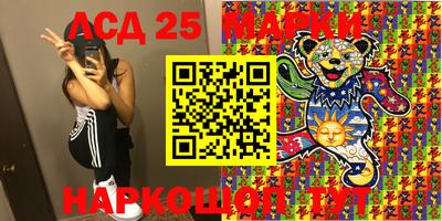 прущие грибы Абакан