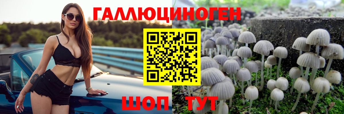 Галлюциногенные грибы Cubensis  Вход с VPN  Салават 